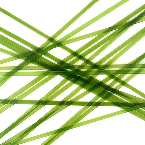 COE 96 - Noodles Forest Green Opal Glass