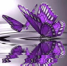 Lf114 2 Butterfly's Mold for Glass Kiln Firing Frit
