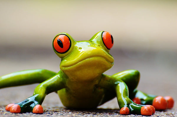 LF13 - Frog Fritter Ceramic Mold for Fusing Glass
