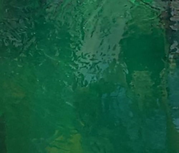 DG1227-Dark Green Transparent