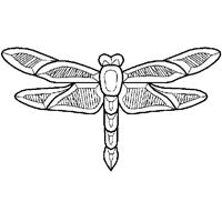 Stained Glass Supplies -Dragonfly Bevel Cluster