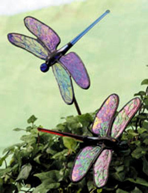 Free Stained Glass Patterns - Garden Pond Dragonfly Pattern by Carolyn -  The Avenue Stained Glass
