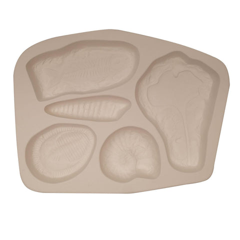LF140 Fossils Texture for Tile Mold for Glass Casting