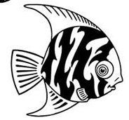 Fusible Glass Supplies - Medium Fire Black Decal - for 2' Angel Fish
