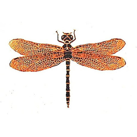 Dragonfly Gold Metallic & Black Fusing Enamel Decal for Glass