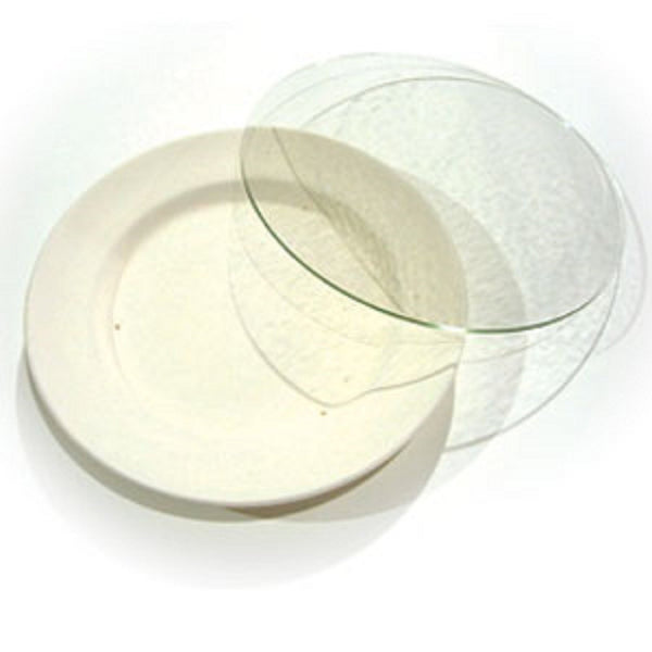 System 96 Oceanside Clear Round Pre Cut Fusible Glass Blanks 8 Inch Pack of 3…